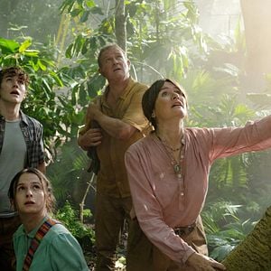 Foto Paddington - Uma Aventura na Floresta 