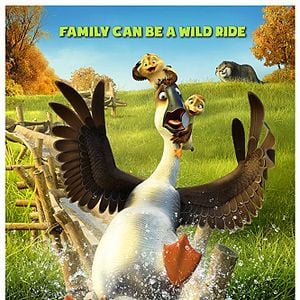 Foto Pato Pato Ganso