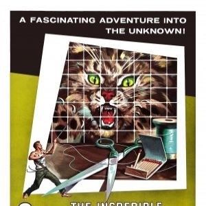 Foto O Incrível Homem que Encolheu