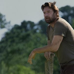 Foto Teacup - O Impostor