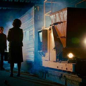 Foto Girassol Vermelho