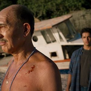 Foto Um Lobo Entre Os Cisnes