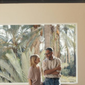 Foto Leila e a Noite