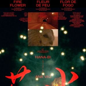 Foto Flor de Fogo