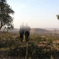 Foto A Memória Fértil