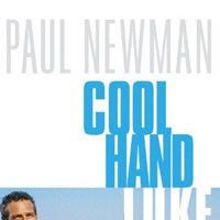 Foto Rebeldia Indomável