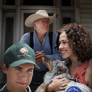 Foto Meu Anjo de Patas