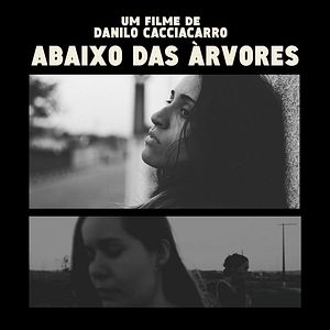 Foto Abaixo das Árvores