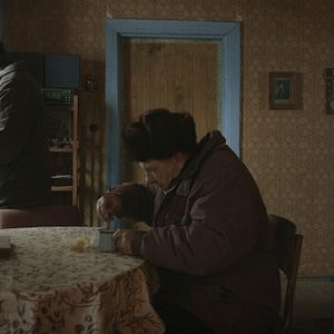 Foto Abelhas Cinzentas