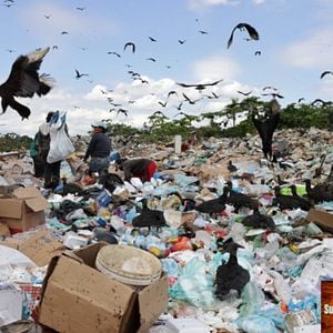 Foto Pisar Suavemente na Terra
