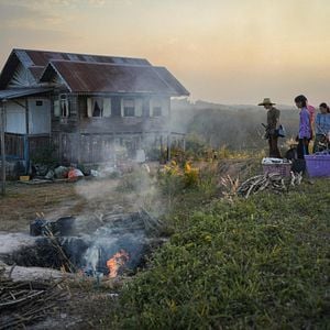 Foto O Paraíso dos Espinhos