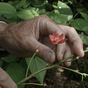 Foto 7 Caminhadas com Mark Brown