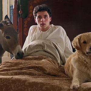 Foto A Árvore do Conhecimento