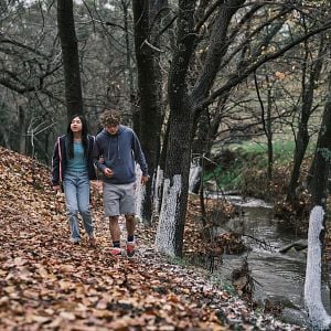 Foto Faça Ela Voltar