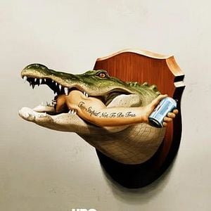 Foto  Só Acontece na Flórida