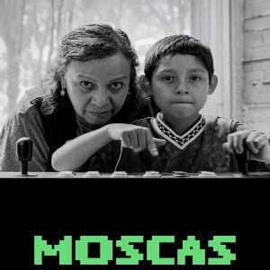 Foto Moscas