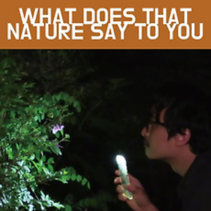 Foto O Que A Natureza Te Conta