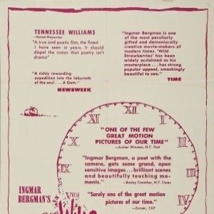 Foto Morangos Silvestres