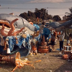 Foto Uma Baleia Pode Ser Destroçada Como uma Escola de Samba
