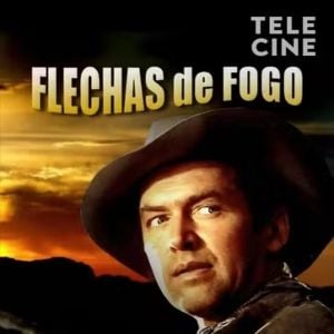 Foto Flechas de Fogo 