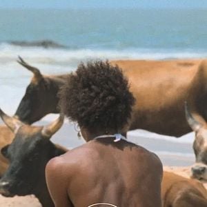 Foto O Riso e a Faca