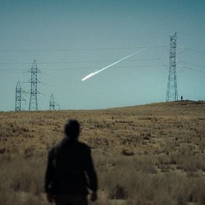 Foto    A Anatomia dos Cavalos