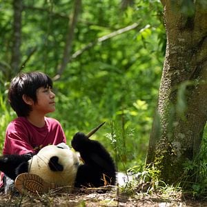 Foto O Menino e o Panda