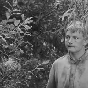 Foto Não Há Caminho Sob o Fogo