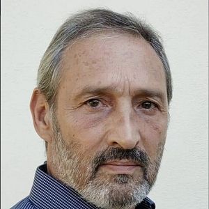 Foto Flavio Birman