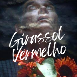 Foto Girassol Vermelho