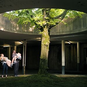 Foto Síndrome da Apatia