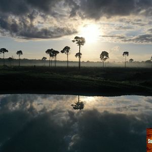Foto Pisar Suavemente na Terra