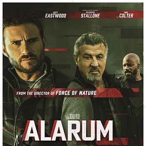 Foto Código Alarum