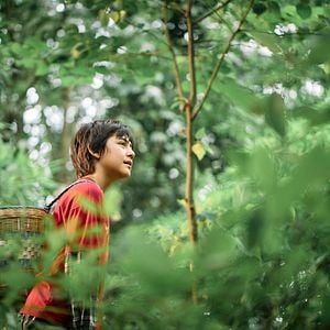 Foto O Menino e o Panda