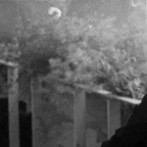 Foto Israel Palestina na TV Sueca 1958-1989