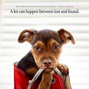 Foto A Caminho de Casa