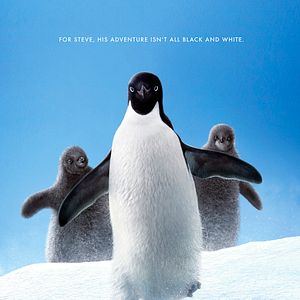 Foto Penguins