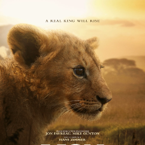 Foto Lion 