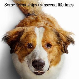 Foto Juntos para Sempre