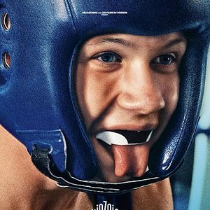 Foto A Dança das Raposas