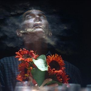 Foto Girassol Vermelho