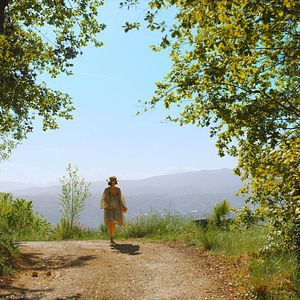 Foto Niki de Saint-Phalle