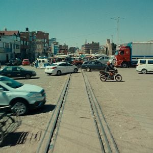 Foto    A Anatomia dos Cavalos