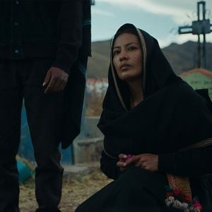 Foto    A Anatomia dos Cavalos