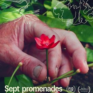 Foto 7 Caminhadas com Mark Brown