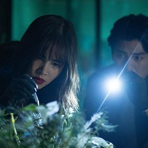 Foto Se as Flores Falassem