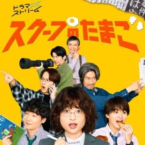 Foto Notícias Fresquinhas