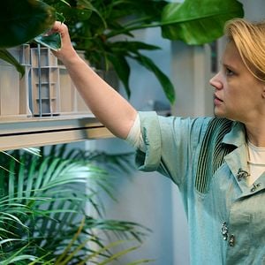 Foto Em Um Piscar de Olhos