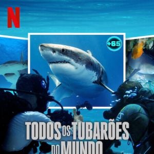 Foto Todos os Tubarões do Mundo