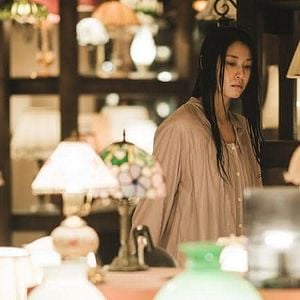 Foto Light Shop: Entre a Vida e a Morte